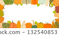 Pumpkins autumn vegetable border, festive rectangular frame decorated with squash and gourds in warm fall colors, seasonal Thanksgiving holiday or harvest background for invitations, cards, posters 132540853