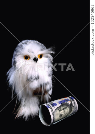 toy cute eagle owl with yellow eyes on a black background toy cute eagle owl with yellow eyes on a black background 132540962