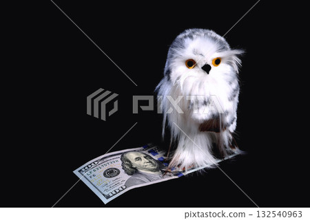 toy cute eagle owl with yellow eyes on a black background 132540963