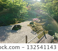Japanese garden 132541143