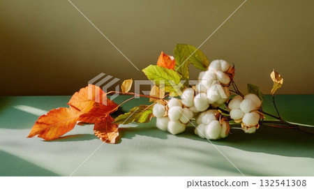 Cotton branch in minimalist setting with soft shadows, ideal for organic textiles, interior decor blogs, and neutral nature-inspired product visuals Cotton branch in minimalist setting with soft shadows, ideal for organic textiles, interior decor blogs, and neutral nature-inspired product visuals 132541308