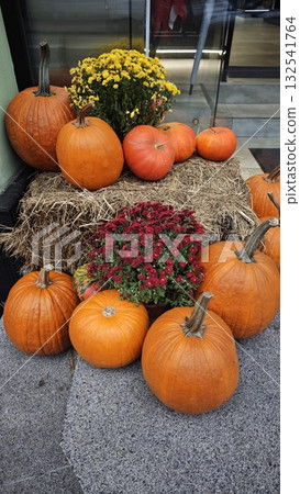Bright autumn display of orange pumpkins and colorful chrysanthemums arranged on hay outside a building. The image represents fall harvest, seasonal decoration, and festive outdoor atmosphere 132541764