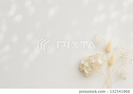 背景是乾燥花和透過葉片的陽光 132541908