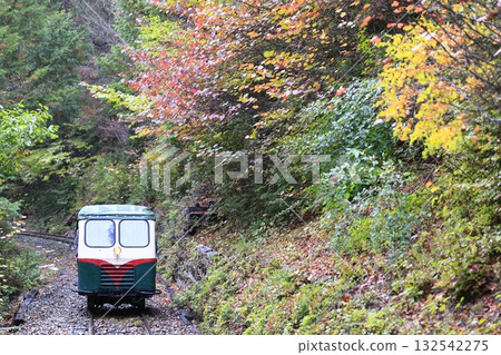秋葉的赤澤森林鐵路 秋葉的赤澤森林鐵路 132542275