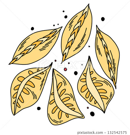 Boiled dumplings of various shapes with fillings, illustration for decoration Boiled dumplings of various shapes with fillings, illustration for decoration 132542575