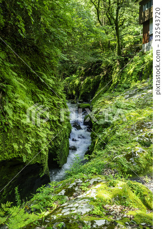 高千穗峽谷，一條流入五瀨川的山澗，位於宮崎縣高千穗町。 132543720