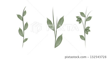 Three Watercolor illustrations of floral stems with leaves are displayed on a white background. Each stem has unique leaves. These illustrations are ideal for adding nature. 132543728