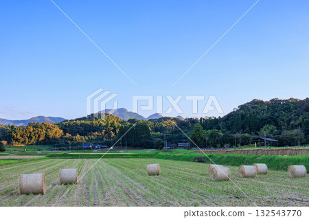 稻草捲 稻草捲 132543770