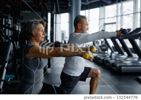 Elderly man and woman are doing squats with dumbbells in a gym Elderly man and woman are doing squats with dumbbells in a gym 132544776