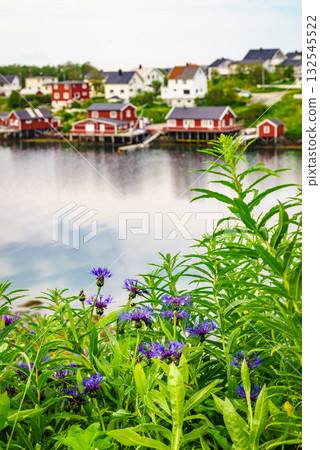 Norwegian fishing village, Reine Lofoten Norway Norwegian fishing village, Reine Lofoten Norway 132545522