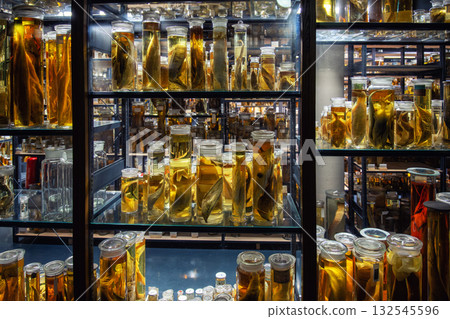 Preserved marine specimens displayed in glass jars filled with yellow fluid create surreal scientific atmosphere. Museum lighting highlights anatomy details and research collection environment 132545596