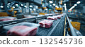 Packaged meat on conveyor belt in modern food processing facility, concept of technology and industry 132545736