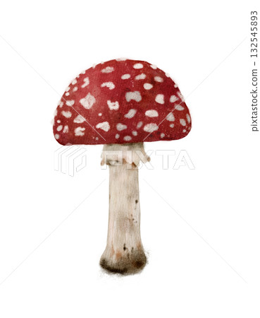 Vibrant Red Mushroom with Distinct White Spots A Beautiful Piece of Natures Artwork 132545893