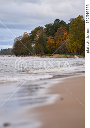 Autumn forest by sandy beach with gentle sea waves under cloudy sky. Autumn forest by sandy beach with gentle sea waves under cloudy sky. 132546533