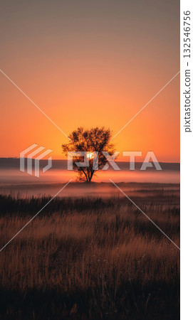 Beautiful sunrise over a solitary tree in a foggy landscape Beautiful sunrise over a solitary tree in a foggy landscape 132546756