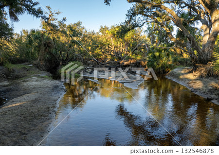Wetlands wild tropical nature with dense green rainforest at sunset. Florida jungles Wetlands wild tropical nature with dense green rainforest at sunset. Florida jungles 132546878