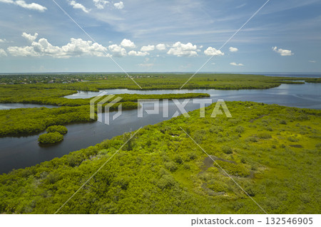 View from above of Florida everglades with green vegetation between ocean water inlets. Natural habitat of many tropical species in wetlands View from above of Florida everglades with green vegetation between ocean water inlets. Natural habitat of many tropical species in wetlands 132546905