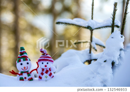 Two small funny toys baby snowman in knitted hats and scarves in deep snow outdoors near pine tree branch. Happy New Year and Merry Christmas greeting card. Two small funny toys baby snowman in knitted hats and scarves in deep snow outdoors near pine tree branch. Happy New Year and Merry Christmas greeting card. 132546933