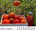 Tomatoes and bottle of tomato juice 132547624