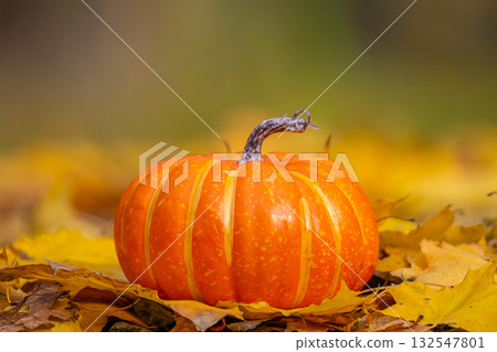 pumpkins  for the Halloween holiday 132547801