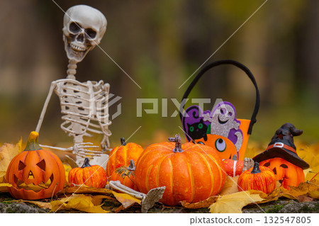 pumpkins and a skeleton for the Halloween holiday pumpkins and a skeleton for the Halloween holiday 132547805