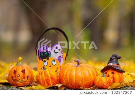 pumpkins and a skeleton for the Halloween holiday pumpkins and a skeleton for the Halloween holiday 132547807