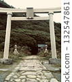 Torii at Ohinato shrine 132547861