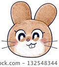 Deformed rabbit face raster illustration Deformed rabbit face raster illustration 132548344