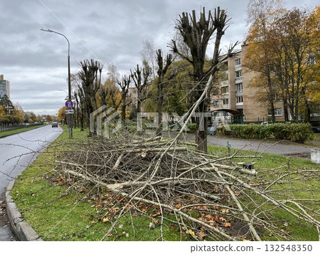 Urban landscape featuring freshly cut tree branches piled on green grass beside a road, with trimmed trees and autumn foliage creating a serene yet dynamic environment Urban landscape featuring freshly cut tree branches piled on green grass beside a road, with trimmed trees and autumn foliage creating a serene yet dynamic environment 132548350