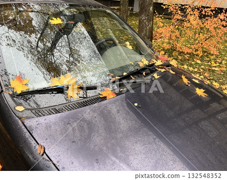 Car hood covered with colorful autumn leaves, reflecting trees and a vibrant fall landscape, showcasing seasonal beauty and nature's impact on vehicles 132548352