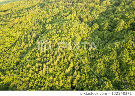 Top view of green forest on sunny spring or summer day. Drone photography, abstract background. 132548371