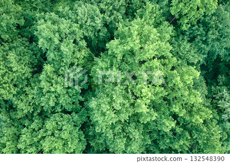 Top down flat aerial view of dark lush forest with green trees canopies in summer Top down flat aerial view of dark lush forest with green trees canopies in summer 132548390