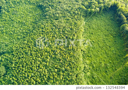 Top down aerial view of green summer forest with large area of cut down trees as result of global deforestation industry. Harmful human influence on world ecology. Top down aerial view of green summer forest with large area of cut down trees as result of global deforestation industry. Harmful human influence on world ecology. 132548394