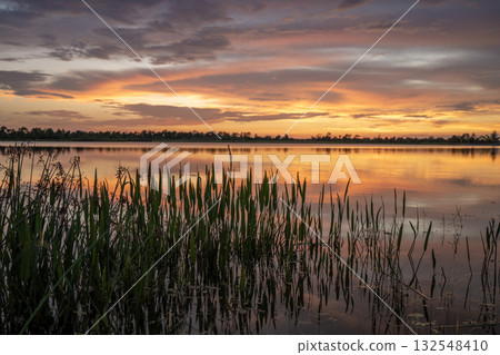 Sunset landscape in Wellen park in North Port, Florida. Beautiful lake nature in evening Sunset landscape in Wellen park in North Port, Florida. Beautiful lake nature in evening 132548410