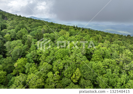 Summer forest on Appalachian mountain hills in North Carolina. Summertime landscape of beautiful nature in rainy humid weather Summer forest on Appalachian mountain hills in North Carolina. Summertime landscape of beautiful nature in rainy humid weather 132548415