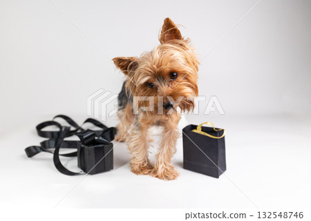 Cute Dog Surrounded by Gifts Celebrates Black Friday Shopping Excitement 132548746