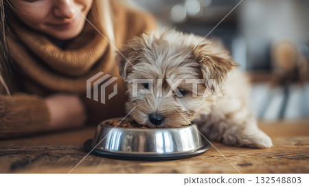 Cute puppy enjoys a meal with owner in a cozy kitchen during a sunny afternoon 132548803