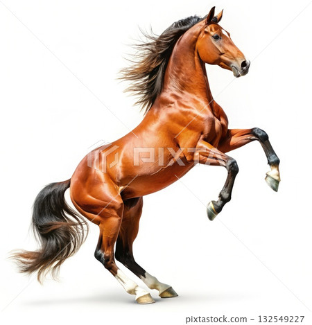 Brown Horse Standing on Hind Legs. Generative AI 132549227