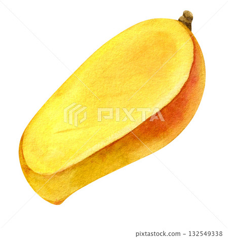 Ripe mango slice, isolated. Watercolor drawing, realistic botanical illustration. For design. 132549338