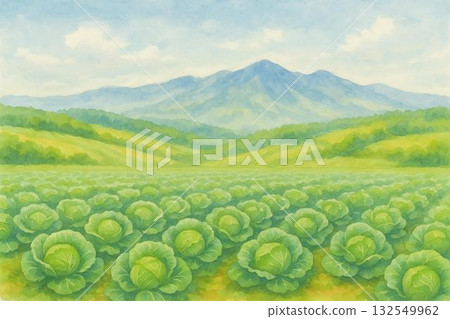白菜田，高地蔬菜，農業景象，水彩畫 132549962