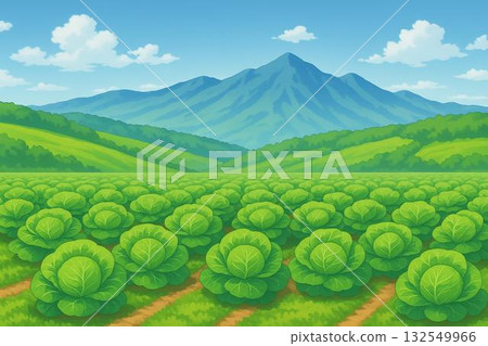 Cabbage field, highland vegetables, agricultural image, anime style 132549966