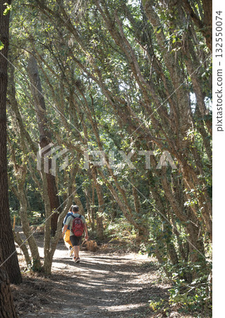 Enjoying a serene walk through the Courant de Huchet forest in Landes 132550074