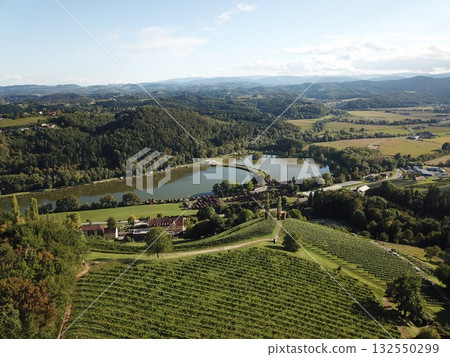 Vineyards covering rolling hills overlooking a lake and river in the Styrian landscape of Leibnitz, Austria 132550299
