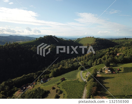 Styrian wine road valley with green vineyards on rolling hills, scattered houses, and forest covering the landscape in Austria Styrian wine road valley with green vineyards on rolling hills, scattered houses, and forest covering the landscape in Austria 132550300