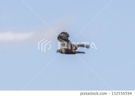 Flying juice Flying juice 132550594