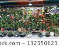 Street flower stall with houseplants 132550623