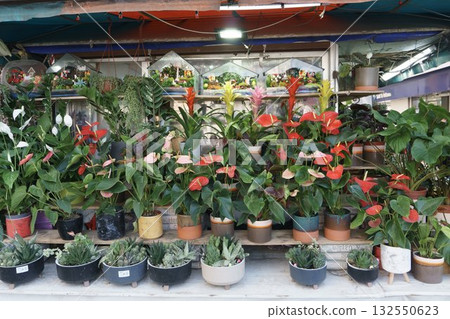 Street flower stall with houseplants 132550623
