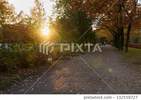 Witness the Beauty of an Autumn Sunset in a Scenic Park Pathway During This Season Witness the Beauty of an Autumn Sunset in a Scenic Park Pathway During This Season 132550727