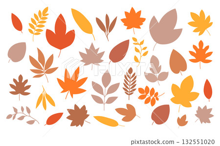 Colorful autumn leaves various shapes. Fall foliage illustration with leaves in red, orange, yellow 132551020