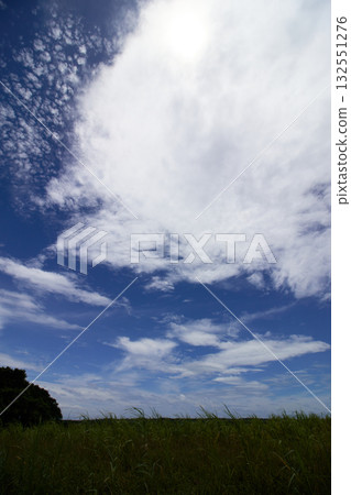 A sky with a fair amount of clouds (vertical photo) 2 A sky with a fair amount of clouds (vertical photo) 2 132551276